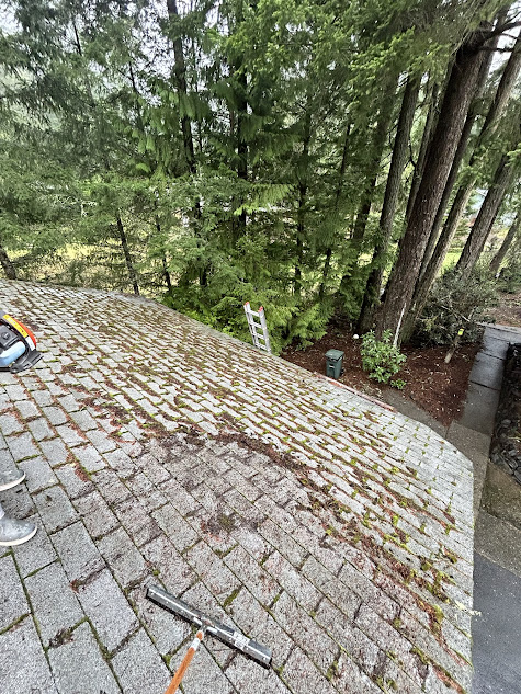 Best Results! Moss Removal and Roof Cleaning in Gig Harbor, WA  Image